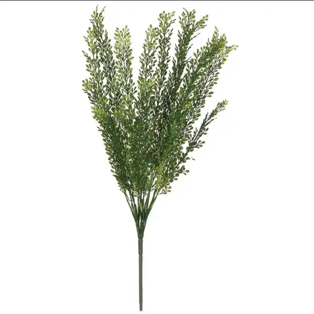 SEED GRASS SPRAY