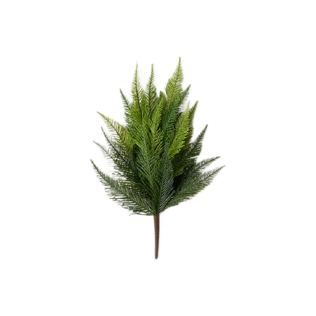 RUFFLED FERN BUSH