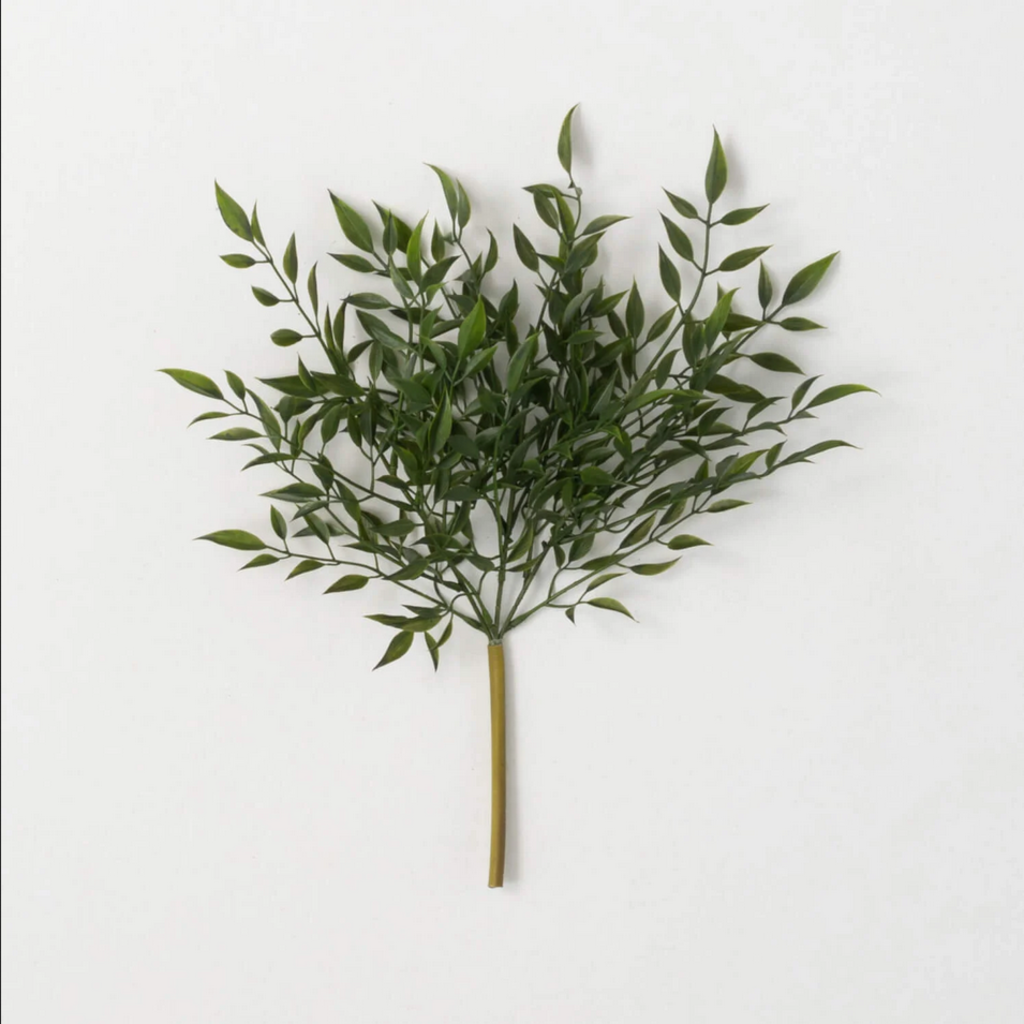 RUSCUS BUSH
