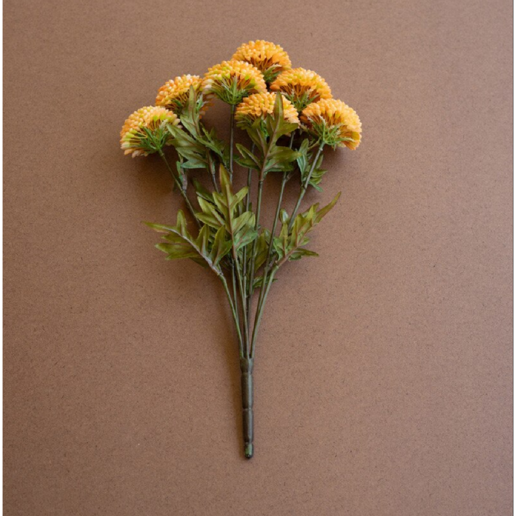 DAHLIA yellow