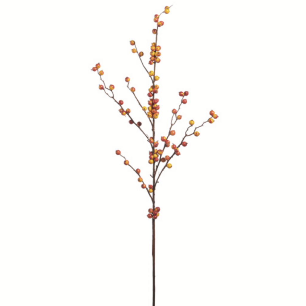BITTERSWEET BERRY BRANCH