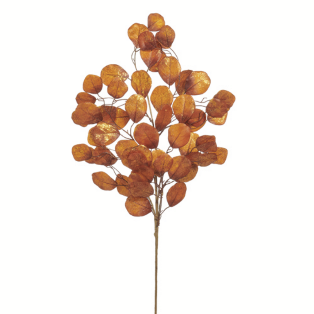 BURNT ORANGE LEAF SPRAY