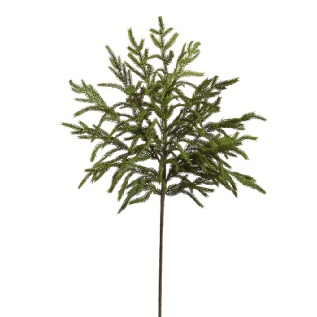 NORFOLK PINE SPRAY ~ 33"