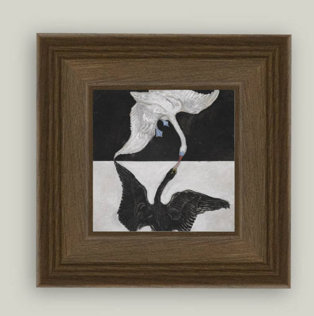 The Swan 6X6