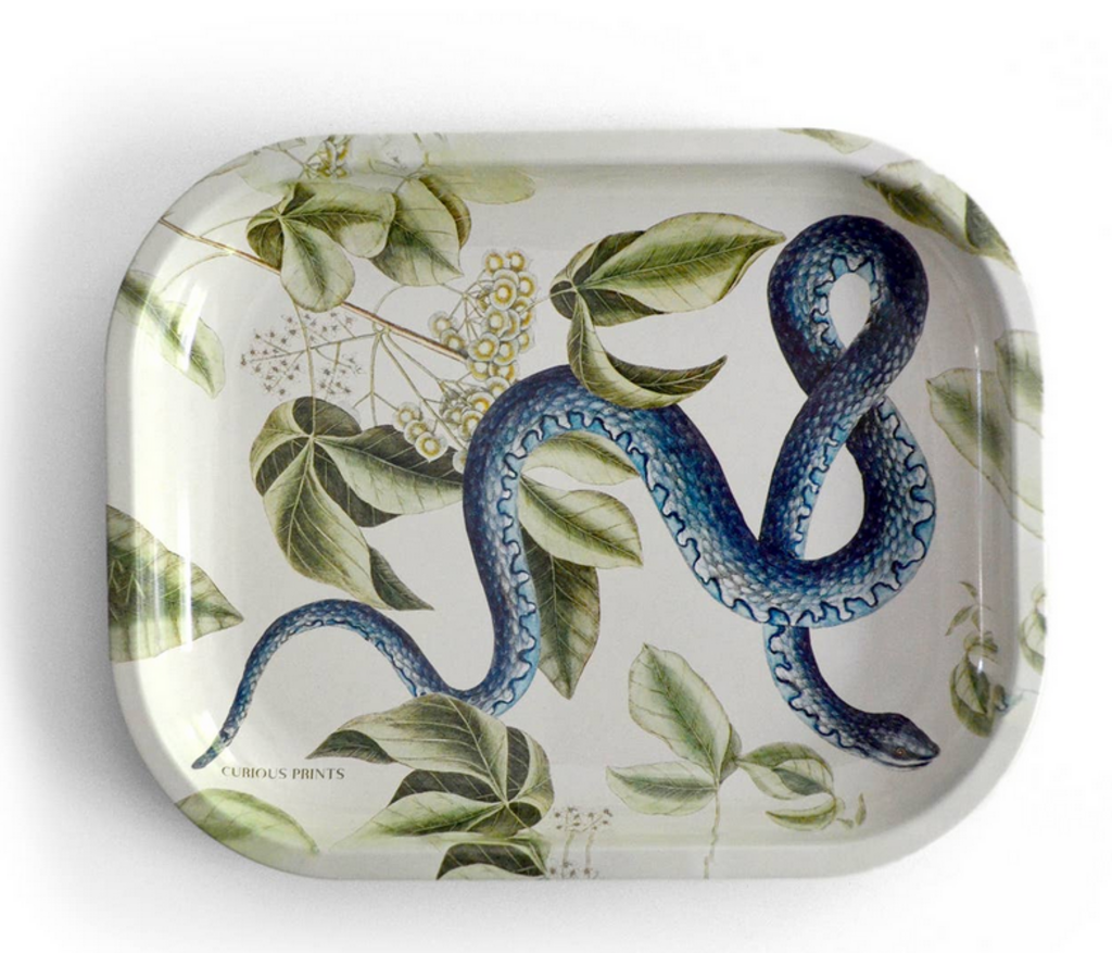 Small Metal Vintage Snake Trinket Tray