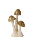 SPECKLED MUSHROOM cluster