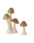 SPECKLED MUSHROOM cluster