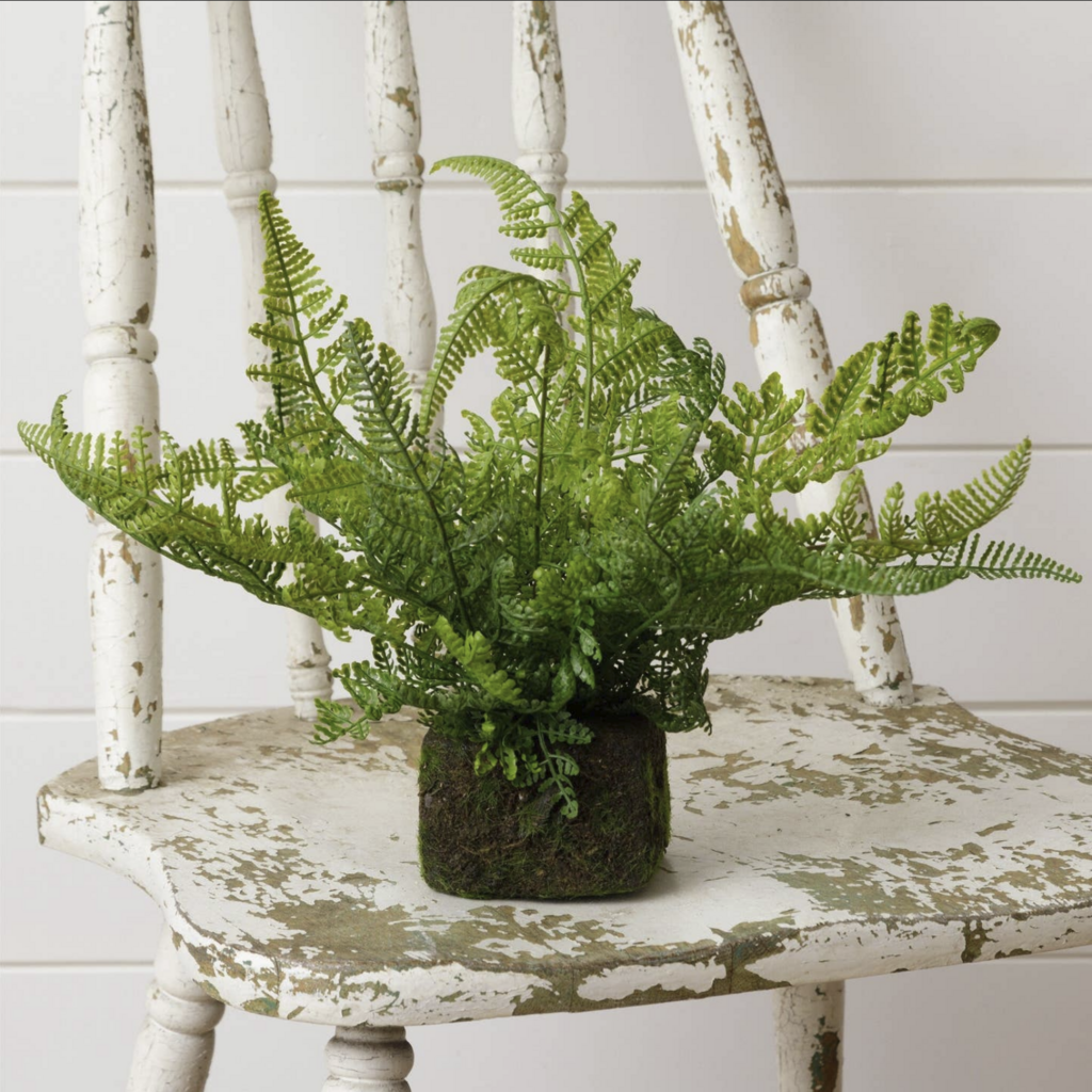 MOSSY FAUX FERN