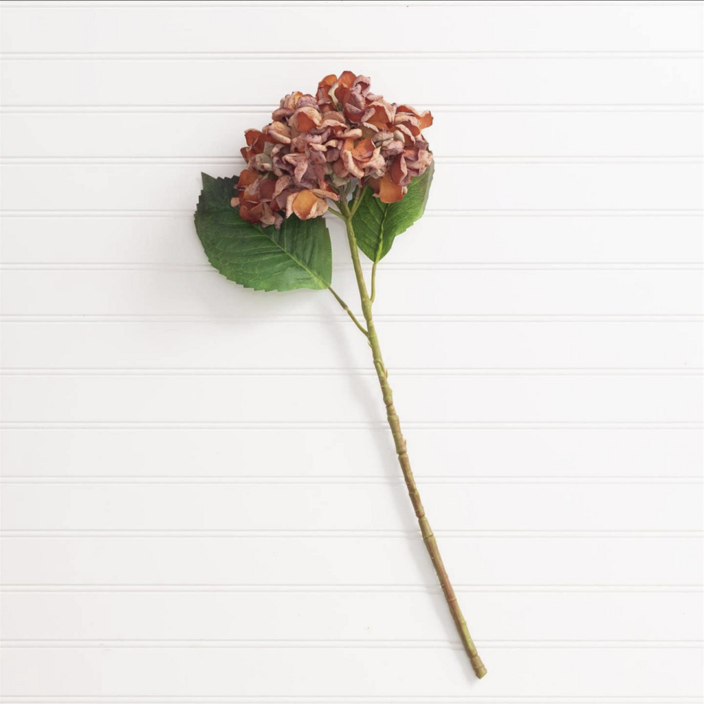 HYDRANGEA STEM orange