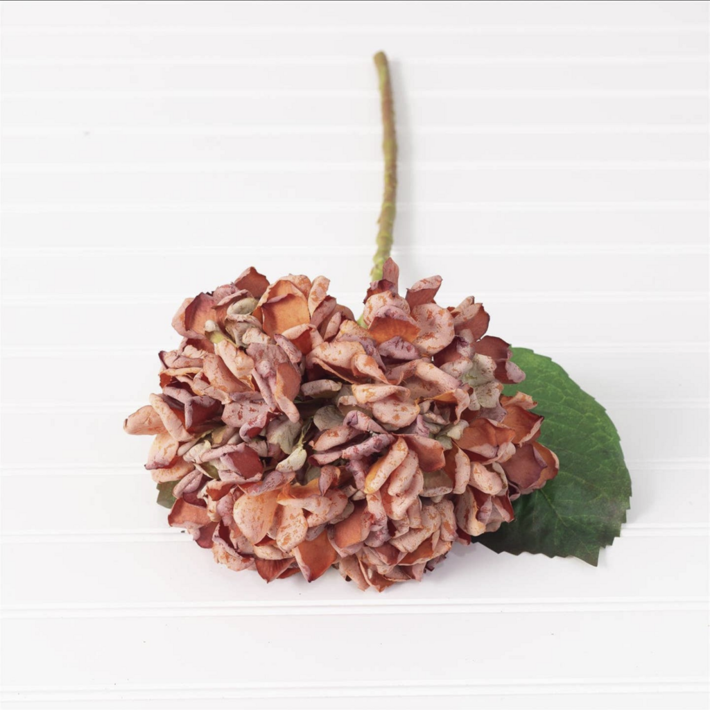 HYDRANGEA STEM orange