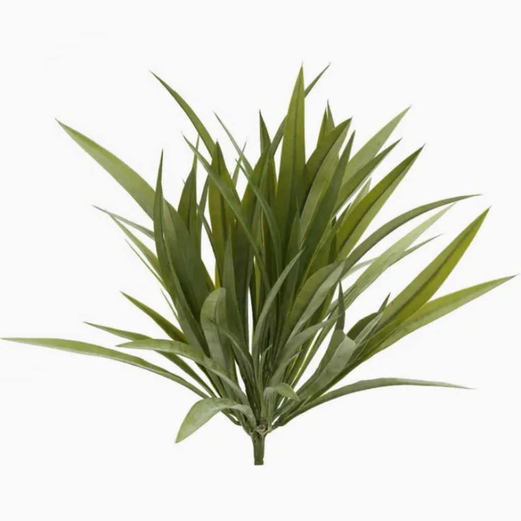 WILD GRASS BUSH