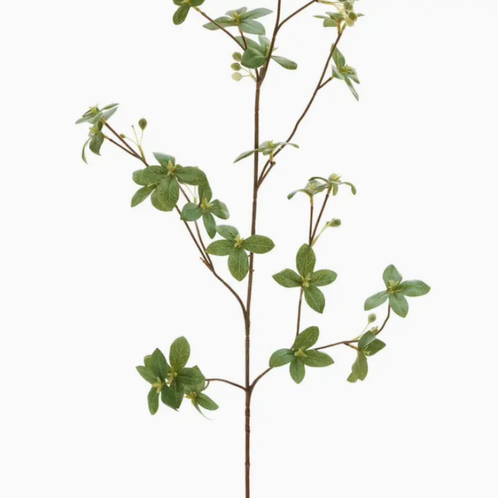 LEAF + BERRY SPRAY