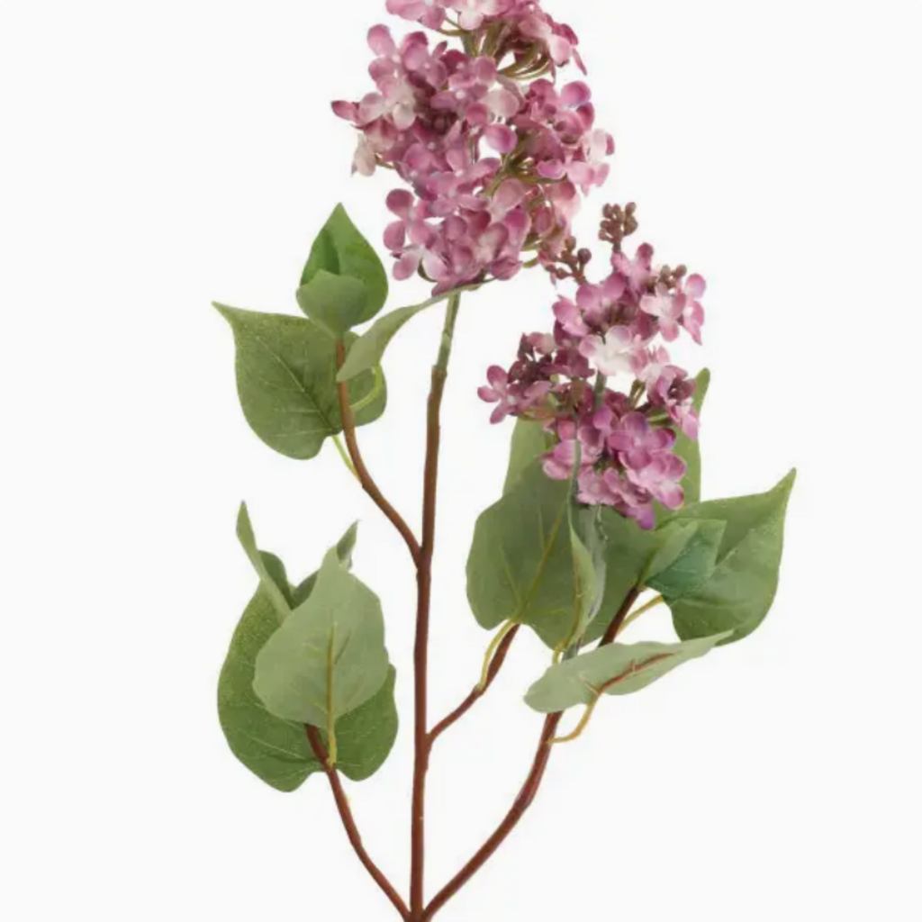 LILAC SPRAY STEM