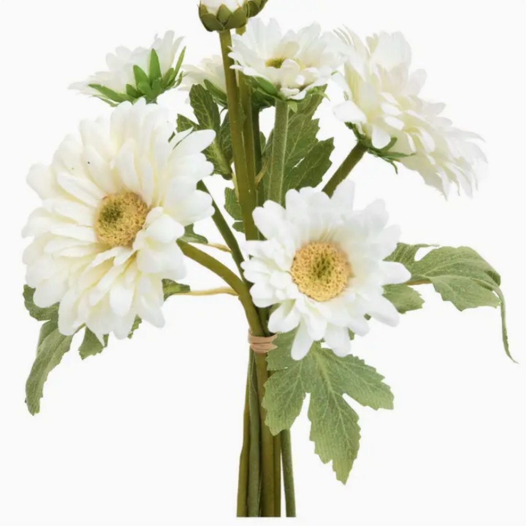 CHRYSANTHEMUM BUNDLE white
