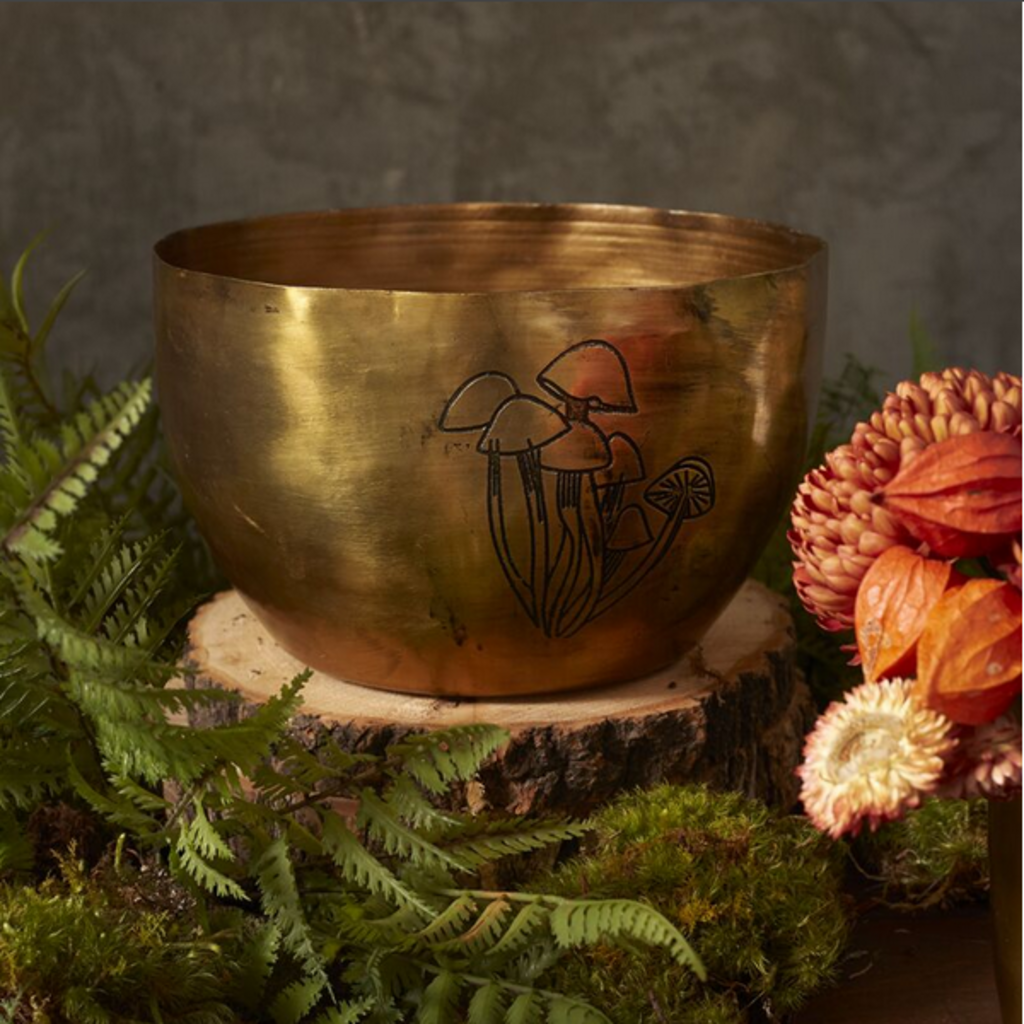 PORTABELLOA BOWL