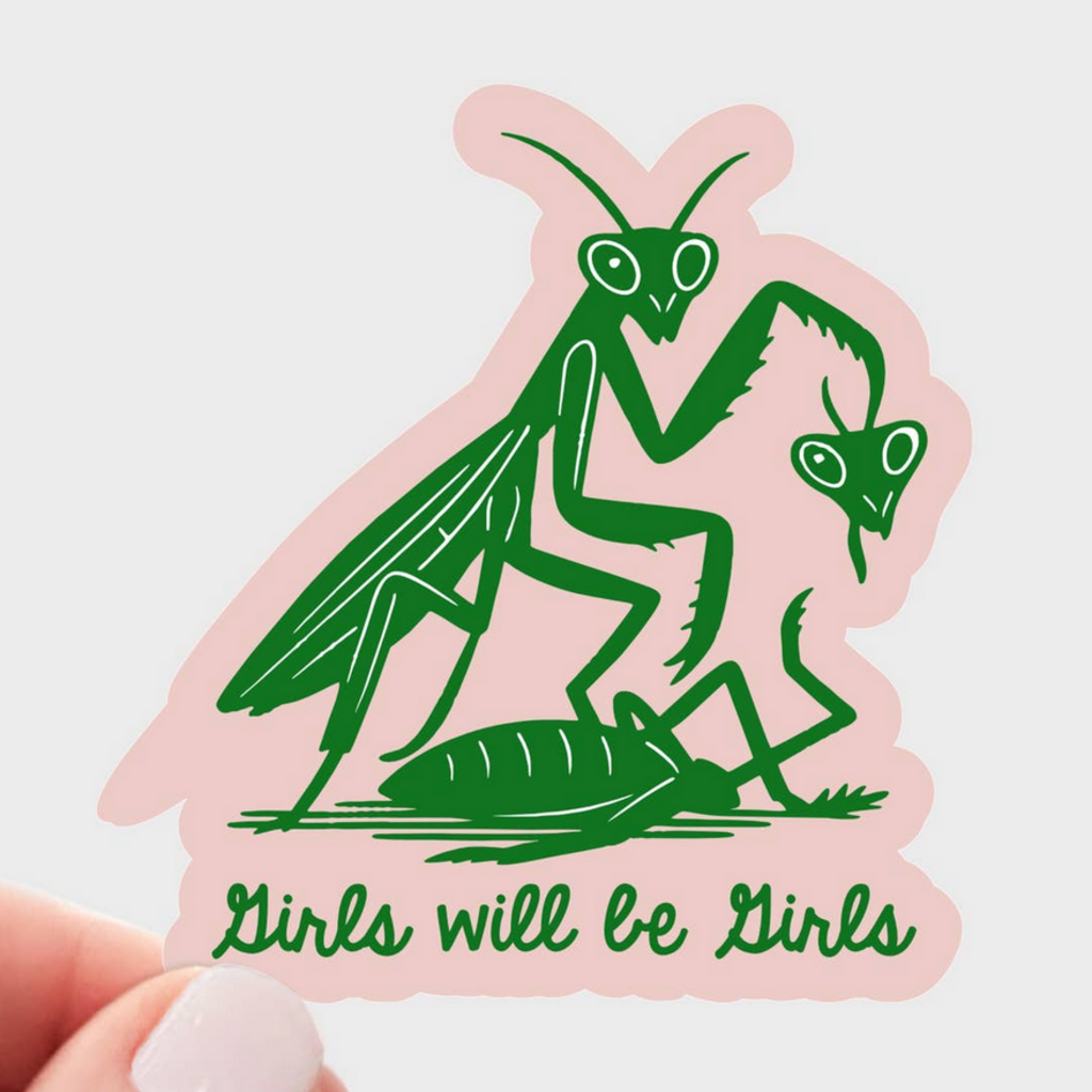 GIRLS WILL BE GIRLS sticker
