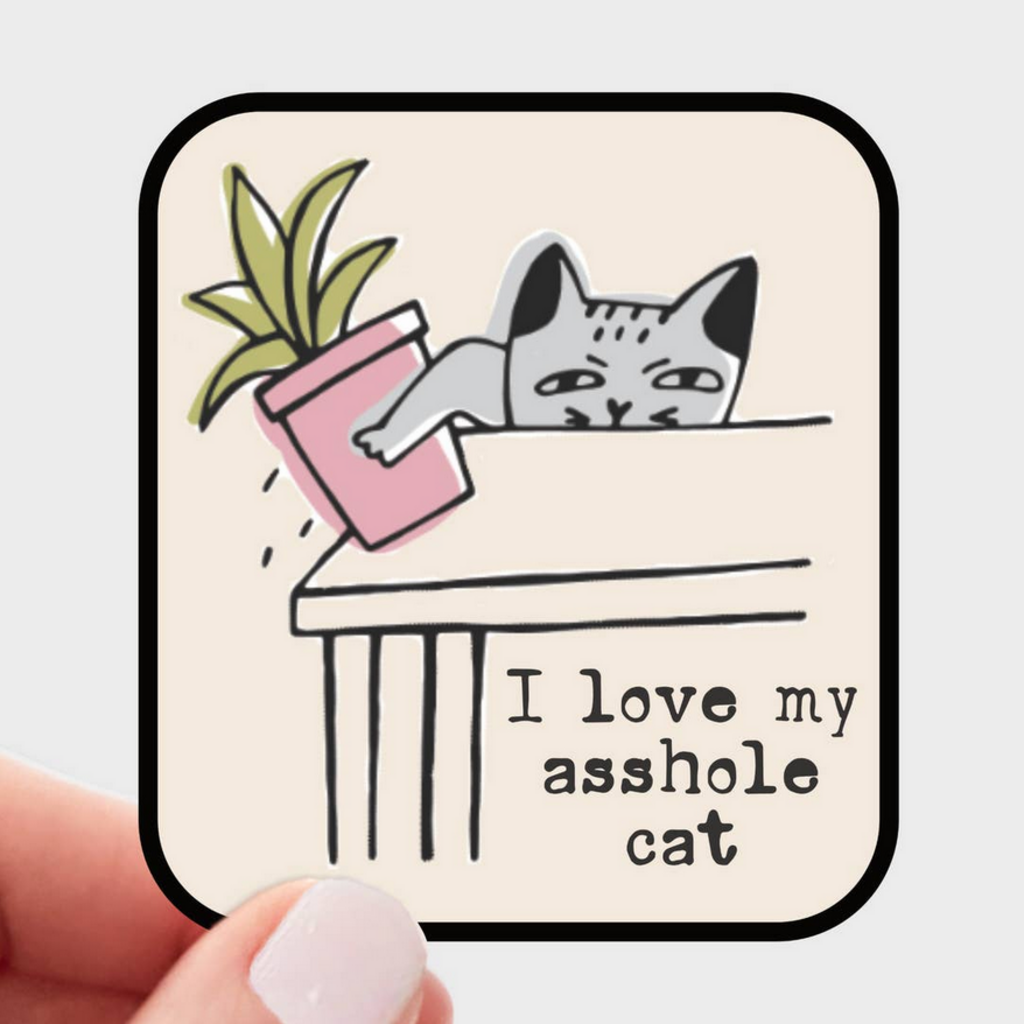 A**HOLE CAT sticker