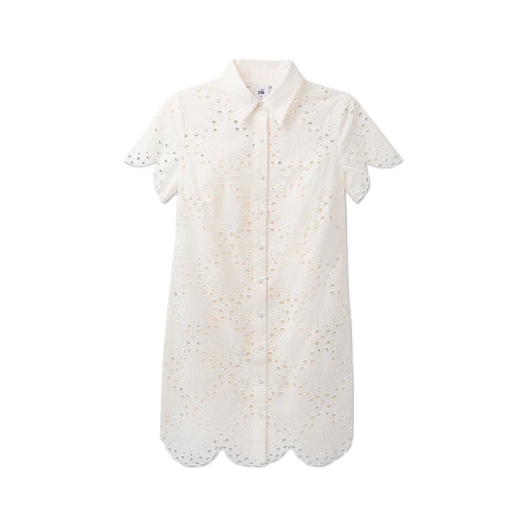CABI EYELET DAY DRESS new 179.00 SZ MED W