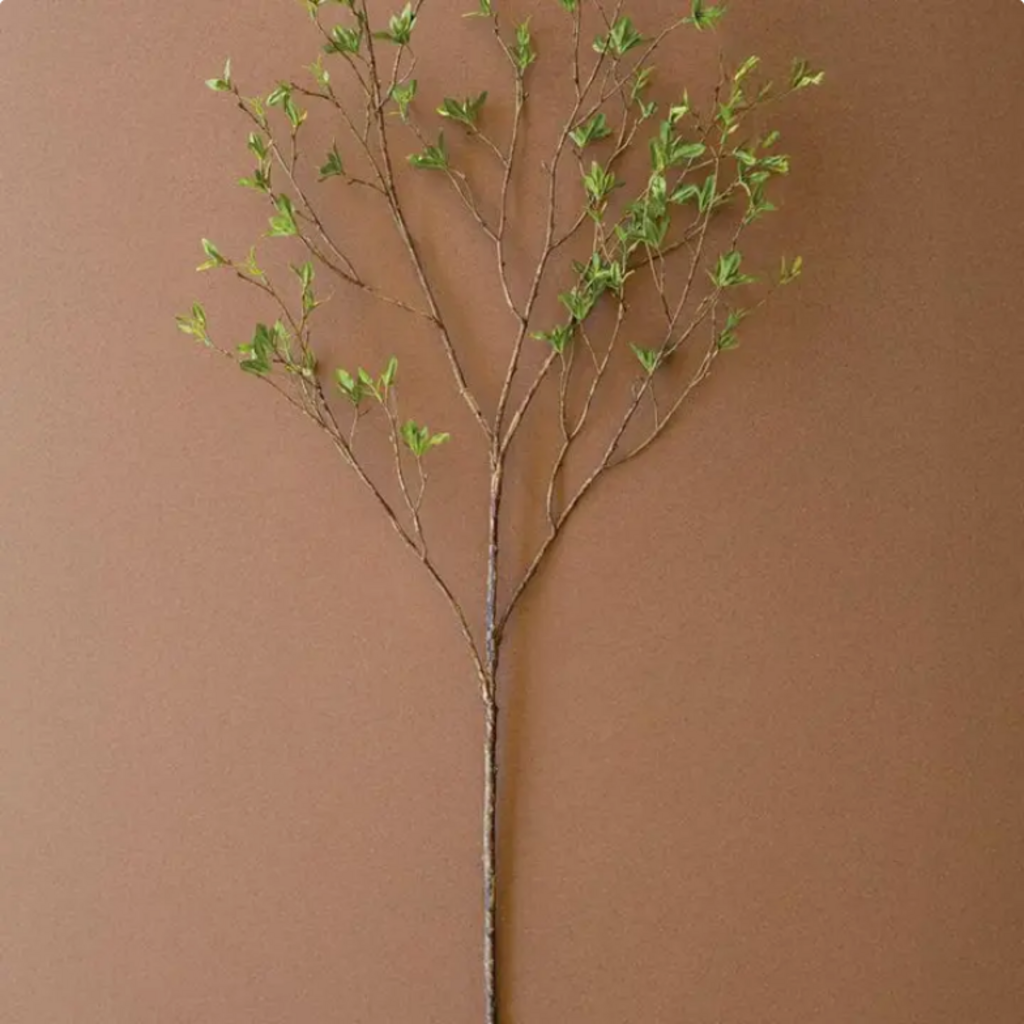 BUDDING LEAF BRANCH STEM CHAL1082