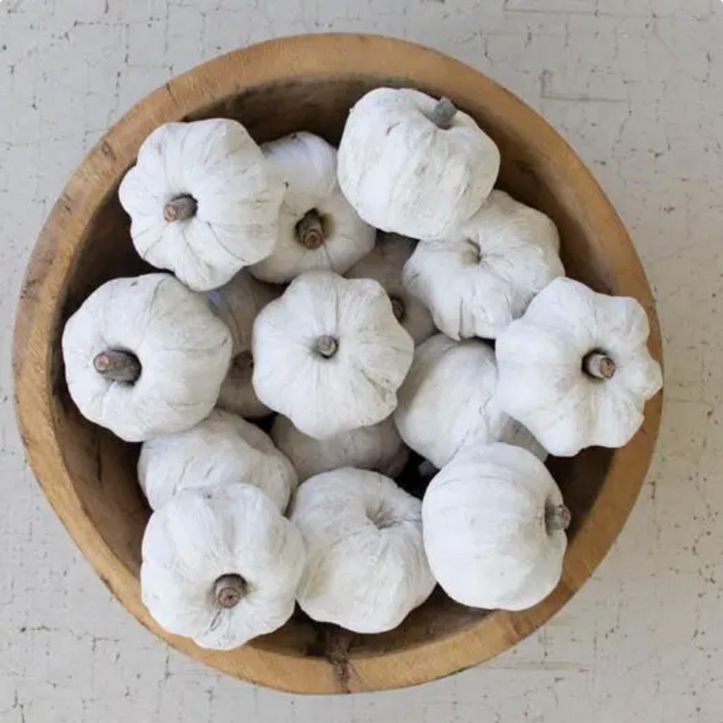 BAG of MINI WHITE PUMPKINS - 15 total