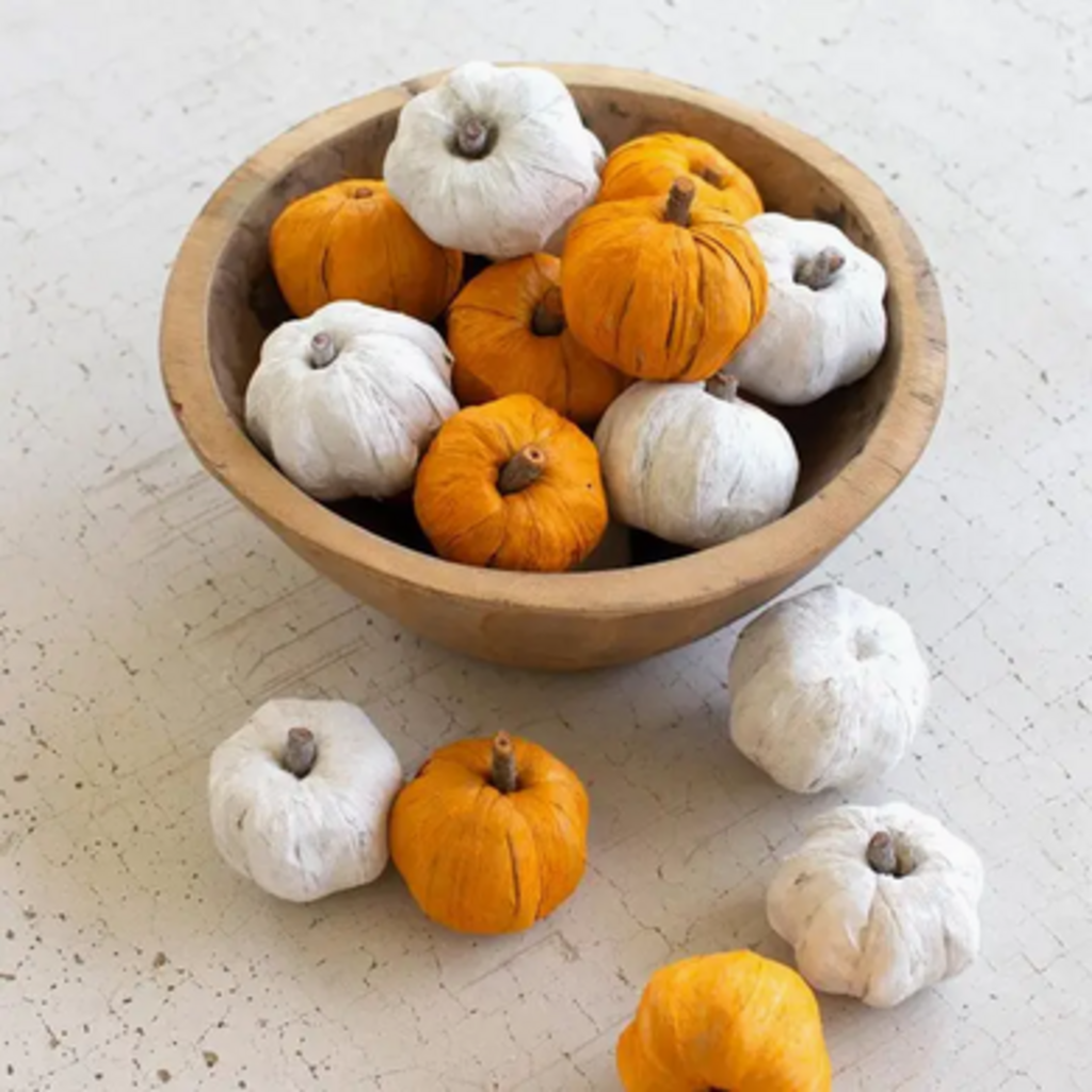 BAG of MINI WHITE PUMPKINS - 15 total