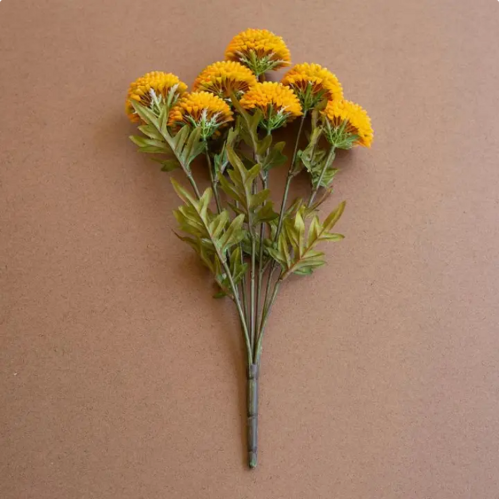 DAHLIA BUNDLE marigold