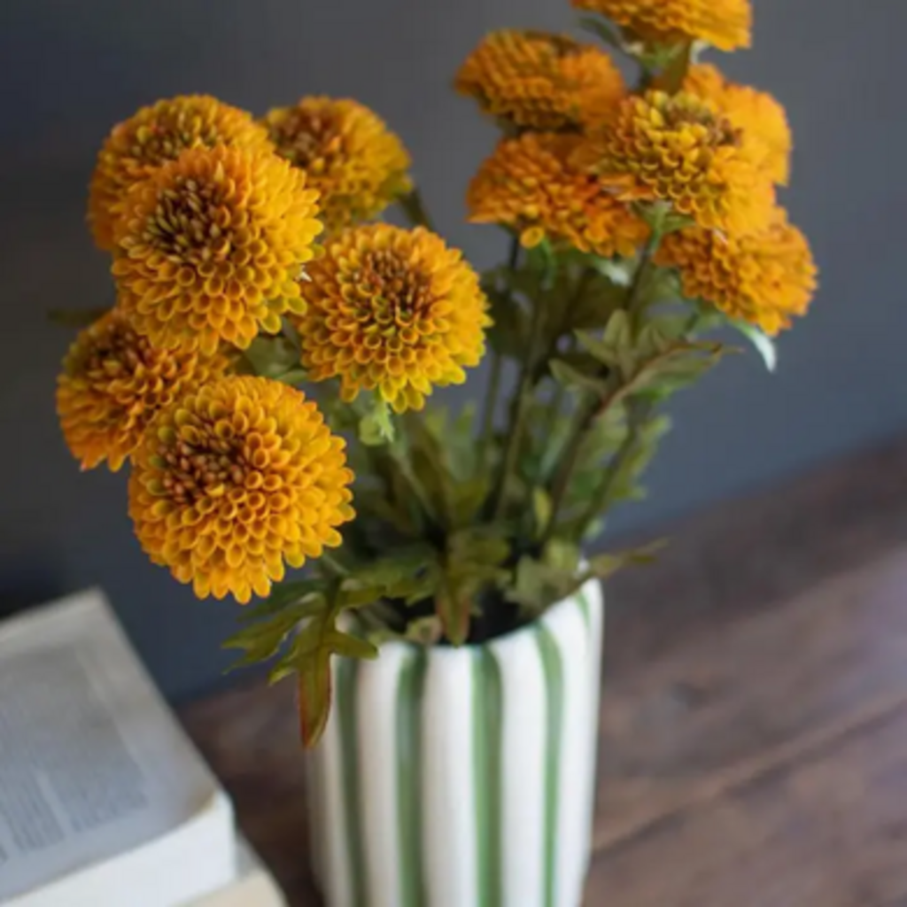 DAHLIA BUNDLE marigold