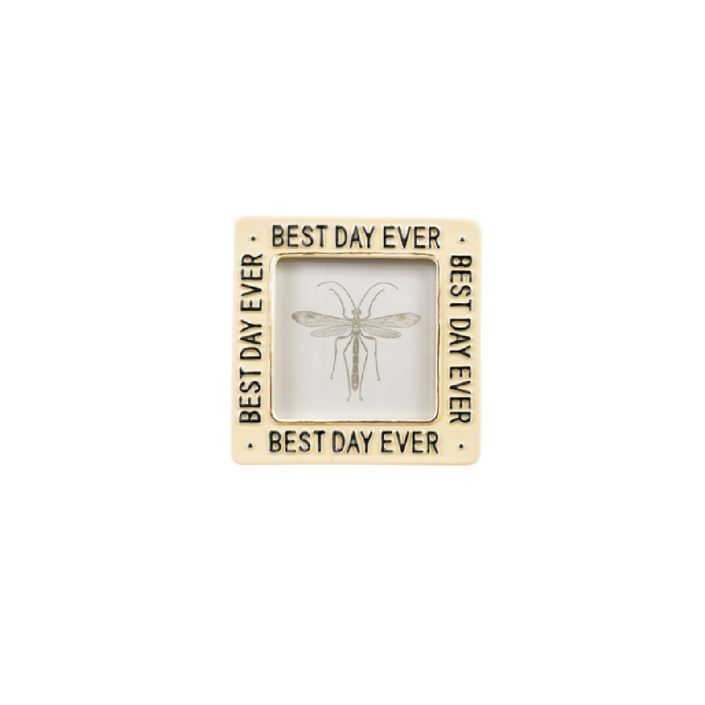 BEST DAY EVER frame