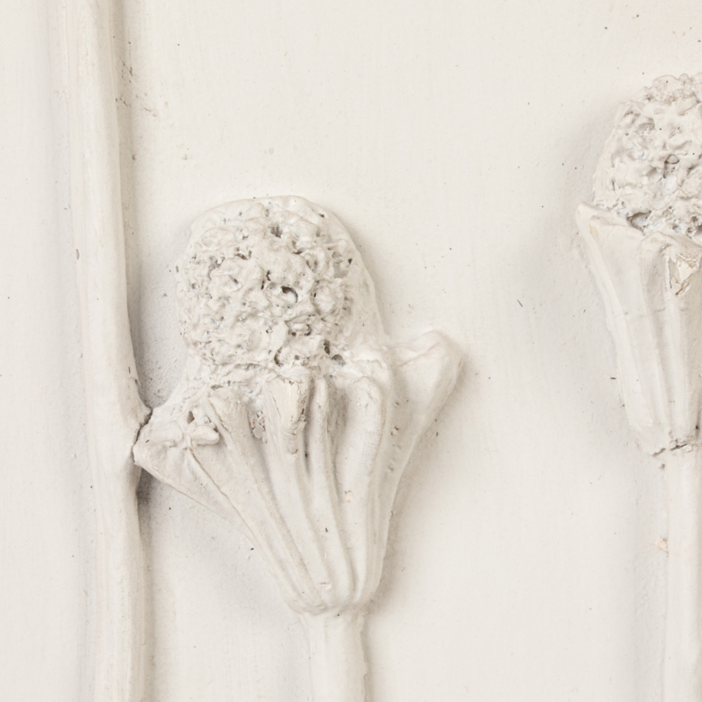 PLASTER CAST FORAL art