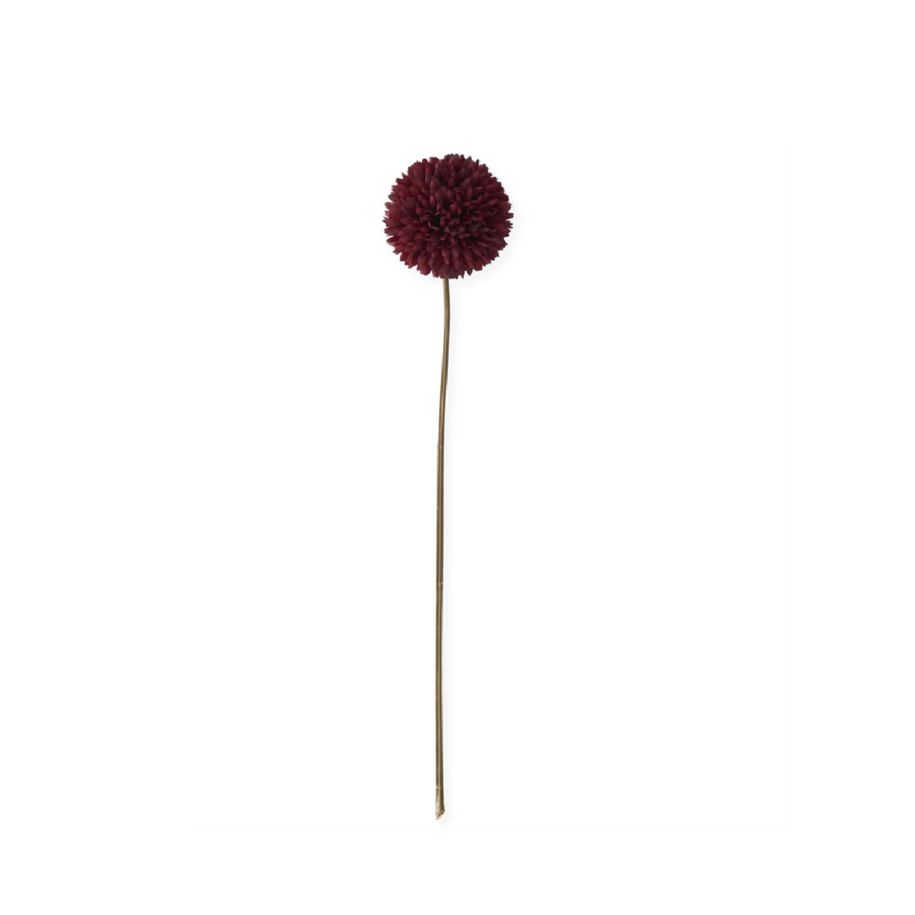 BURGUNDY ALLIUM ~ 31"