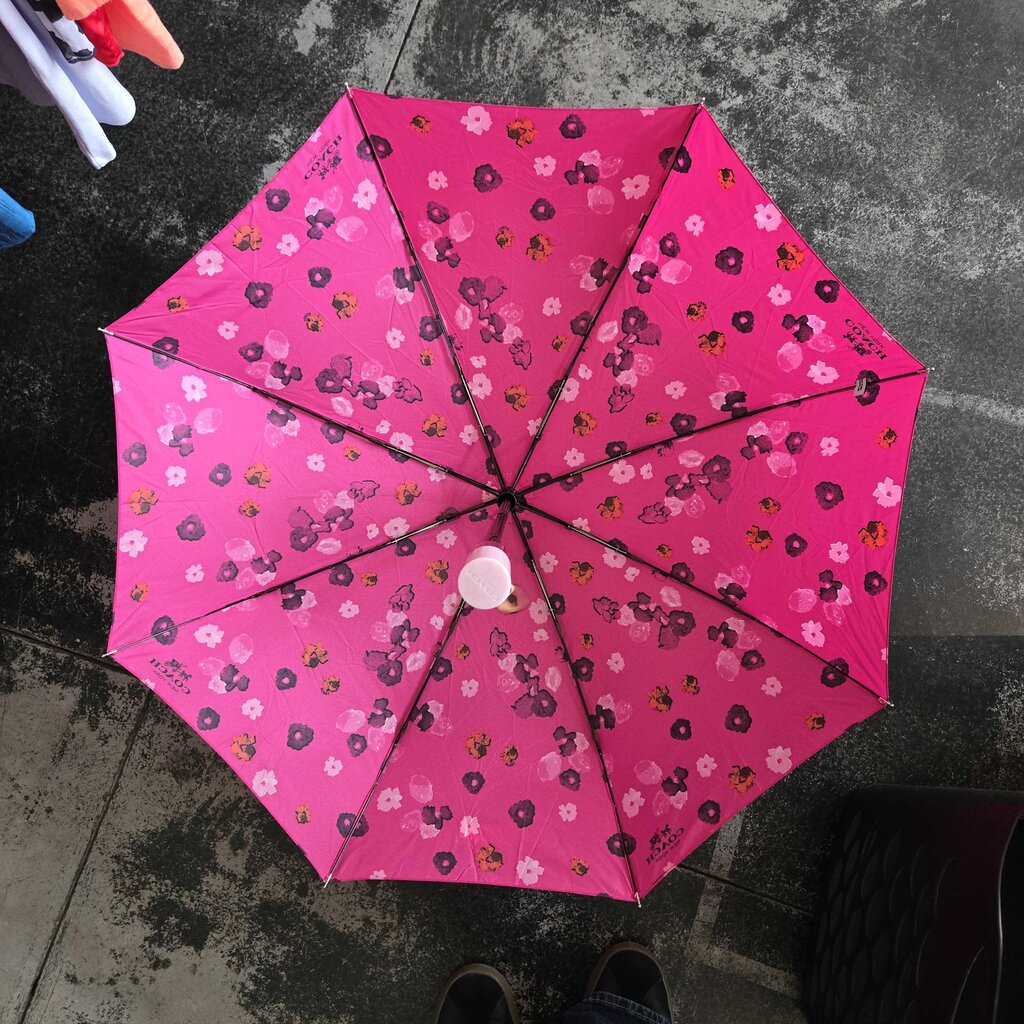 COACH FLORAL mini print UMBRELLA