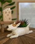 CERAMIC BULL TERRIER PLANTER