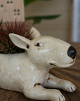 CERAMIC BULL TERRIER PLANTER