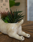 CERAMIC BULL TERRIER PLANTER