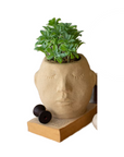 SLEEPY HEAD VASE small