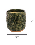 CACTUS MOTIF CACHE POT large