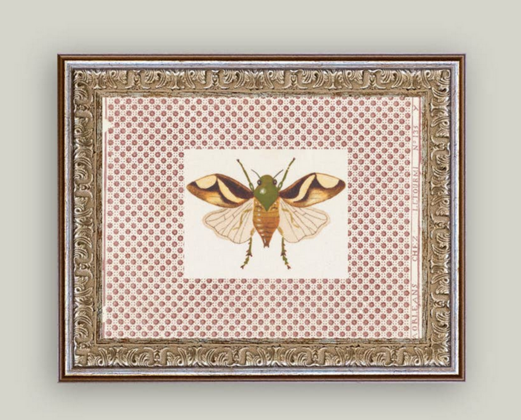 Beetle Moth 10X8