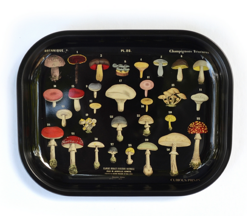 Small Metal Black Mushroom Tray
