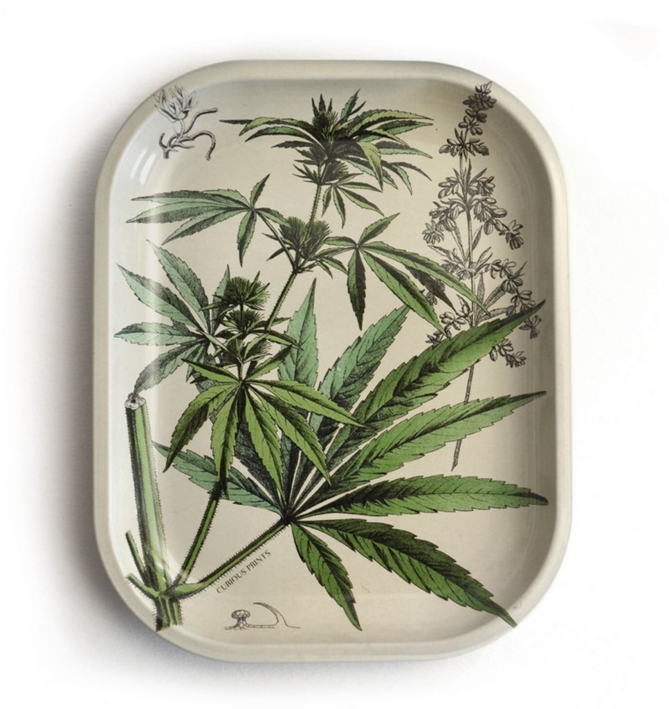 Small Metal Vintage Botanical Tray