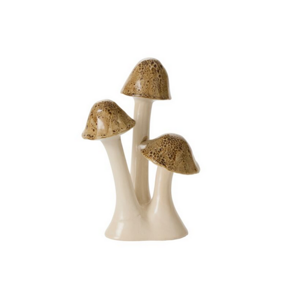 SPECKLED MUSHROOM cluster