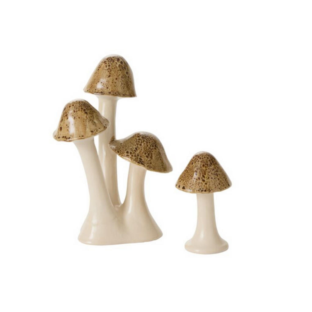 SPECKLED MUSHROOM cluster