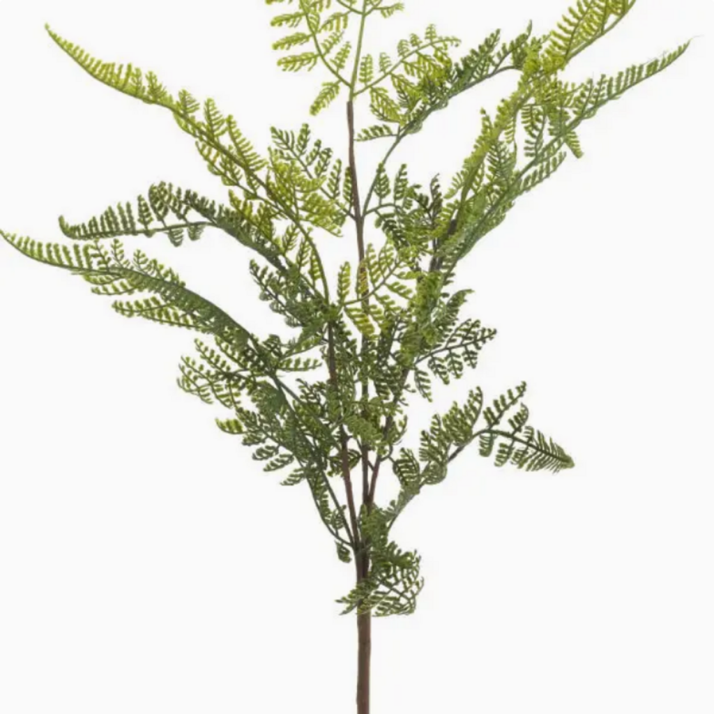LACE FERN SPRAY