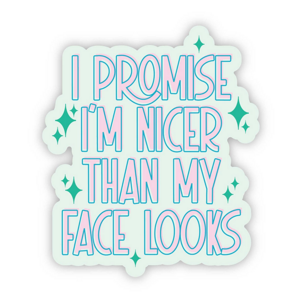 NICER THAN MY FACE sticker