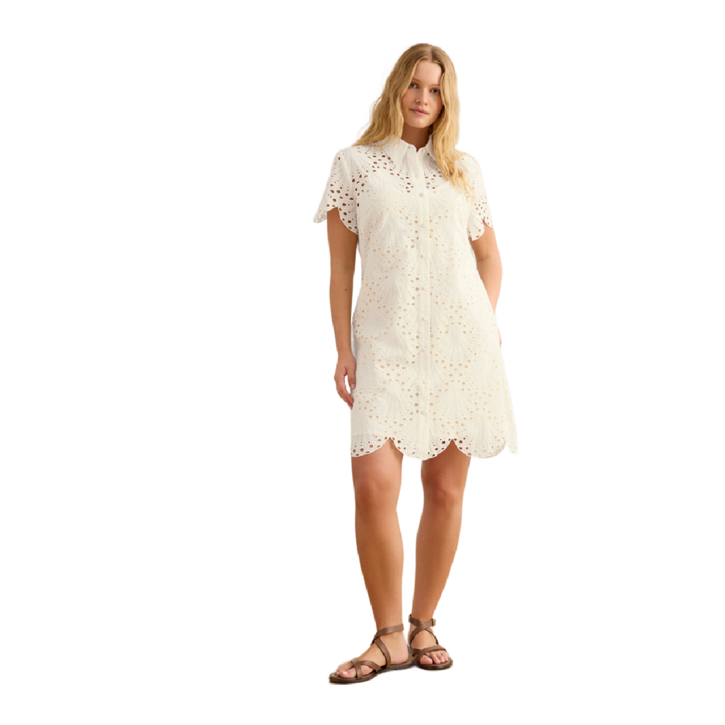 CABI EYELET DAY DRESS new 179.00 SZ MED W