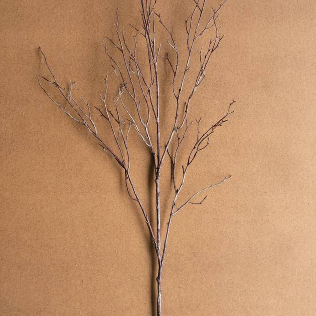 BIRCH STEM CHAL1075