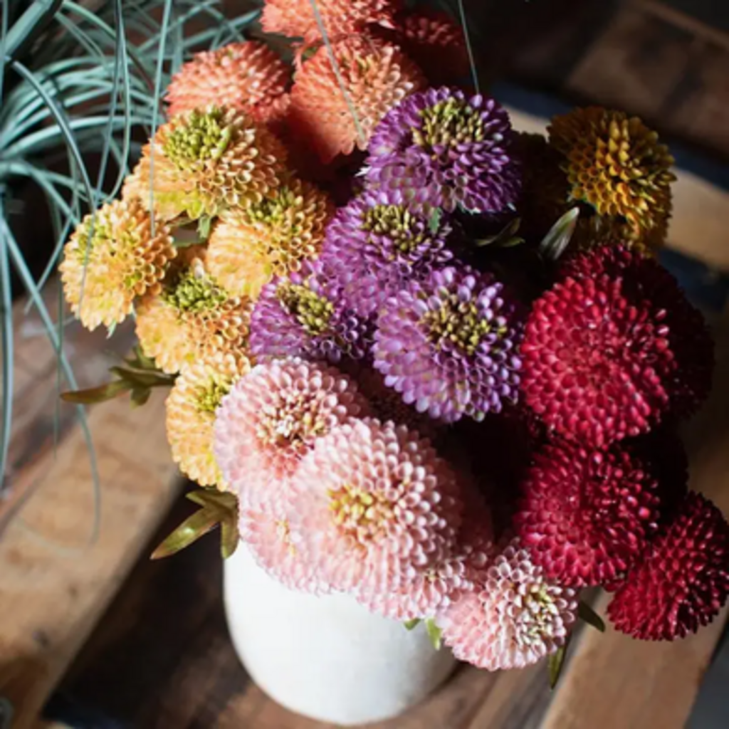 DAHLIA BUNDLE dusty pink