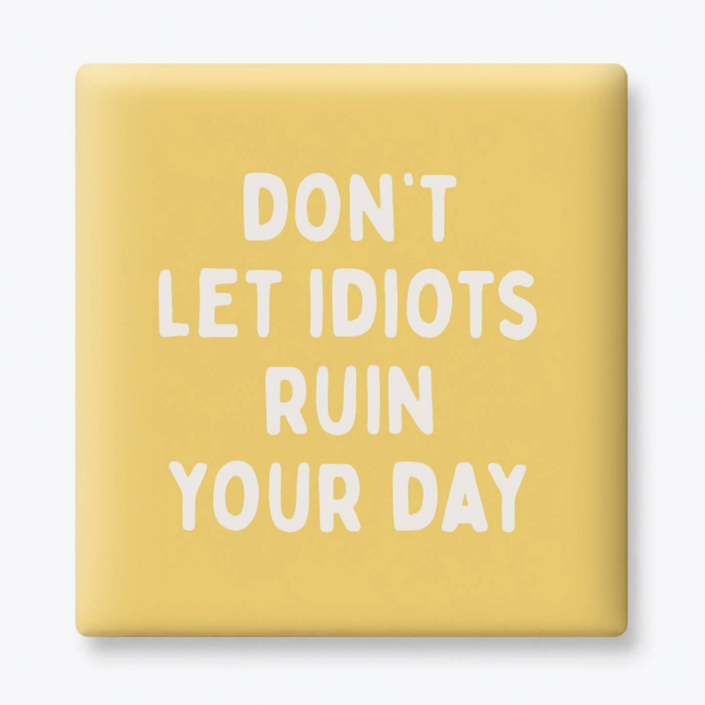 Magnet - Idiots Ruin Your Day
