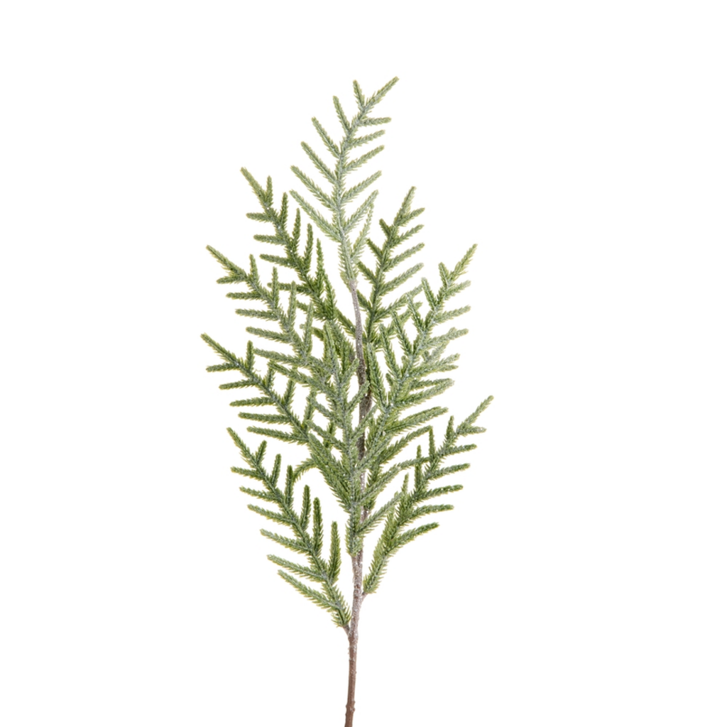 ICED PINE SPRAY