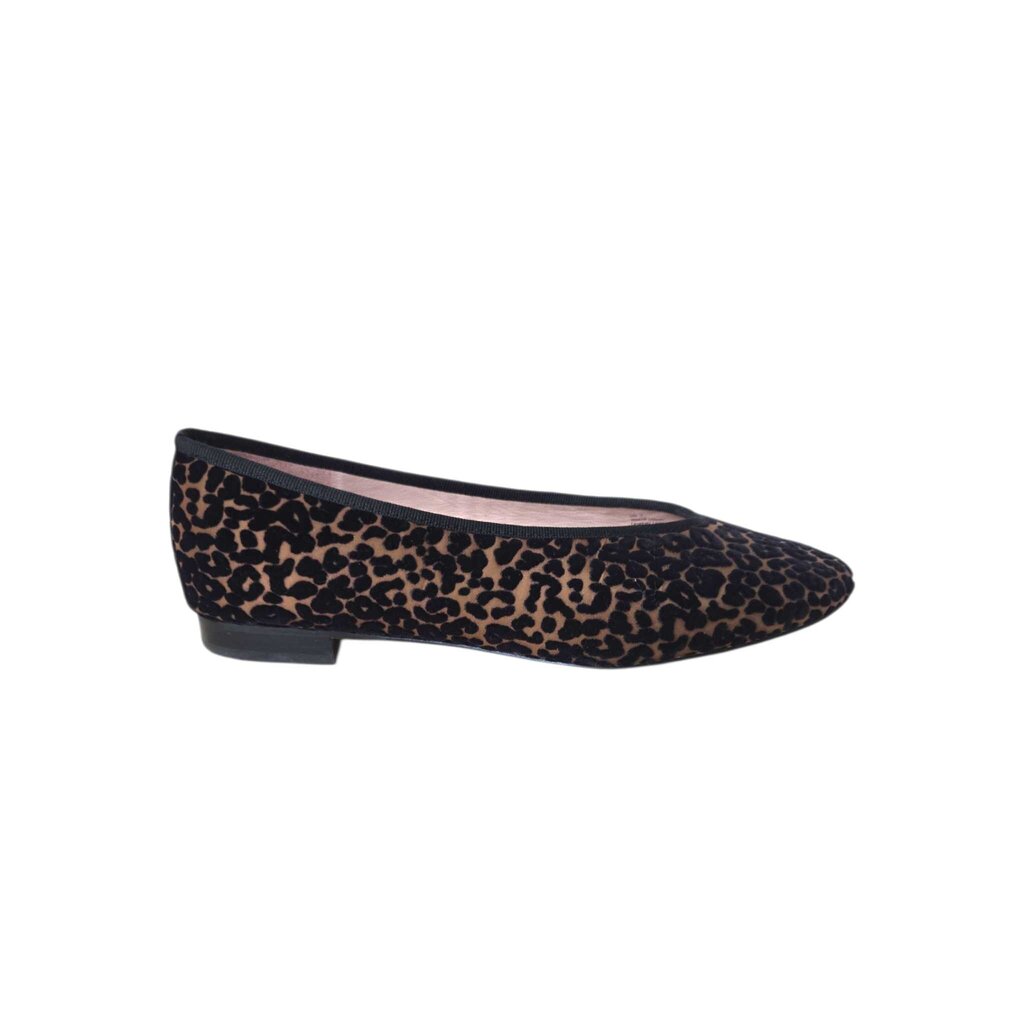 TUCKERNUCK SZ 7