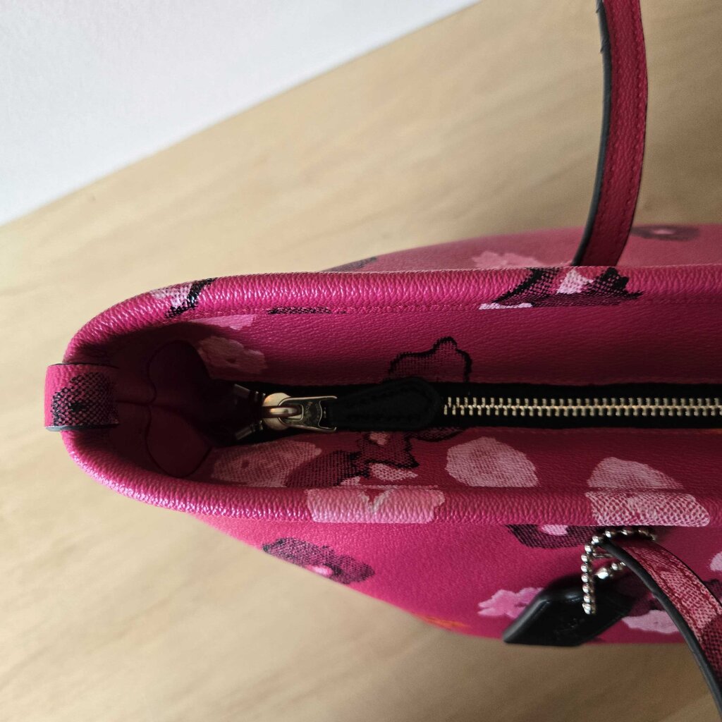 COACH LARGE CITY ZIP